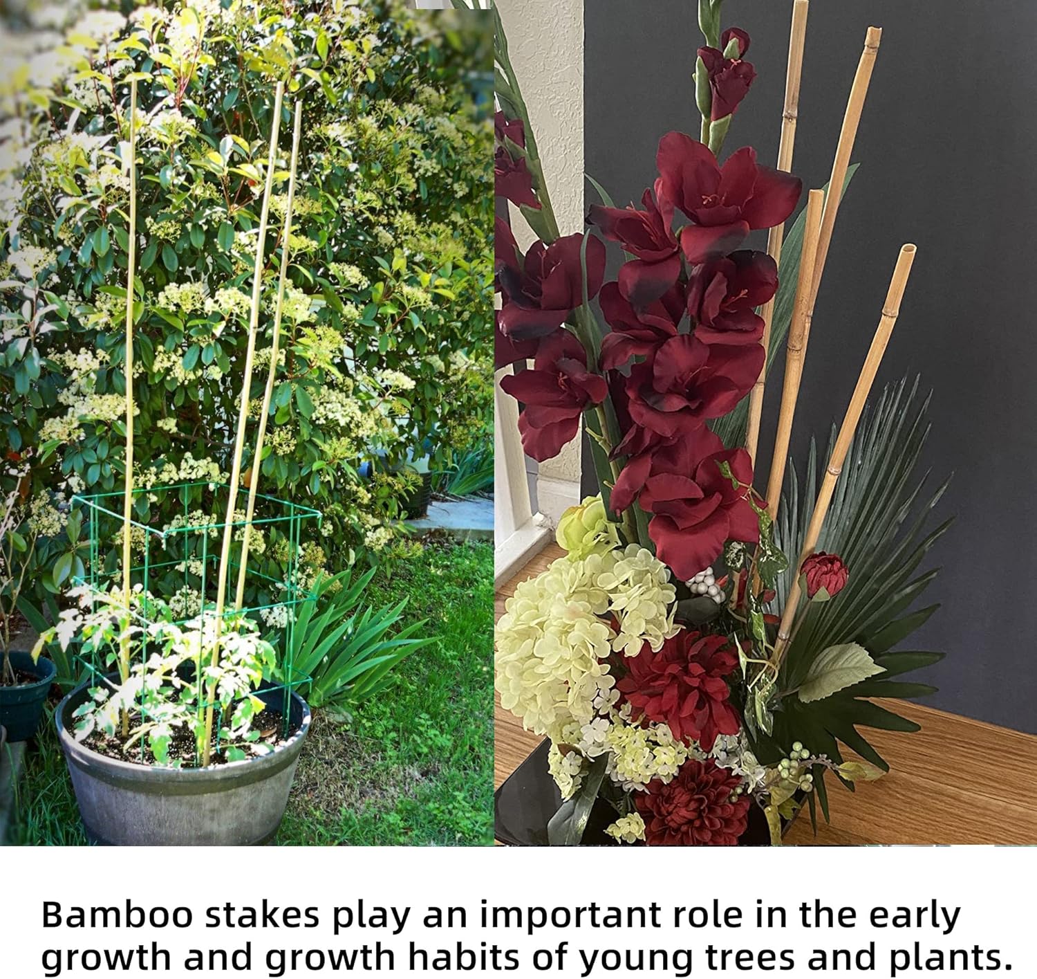 Lot de 40 piquets de jardin en bambou pour plantes de jardin, piquets en bois naturel pour plantes de tomates, haricots, plantes en pot (45 x 0,8 cm) - 2