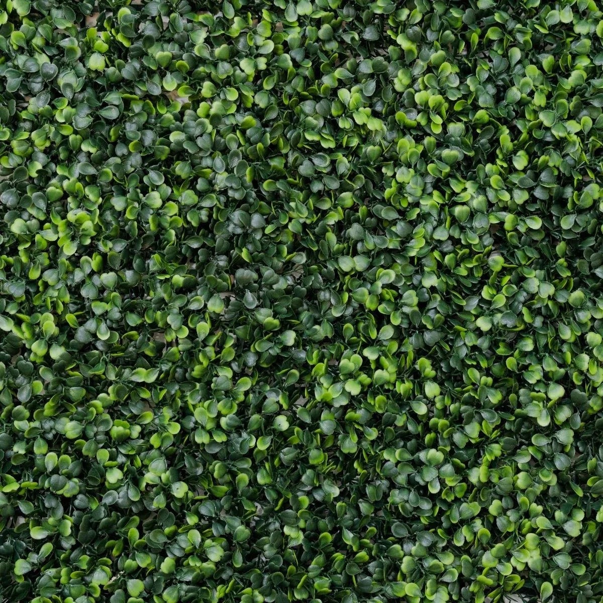 Jardim Vertical Artificial Exterior ou Interior - Pacote de 50x50cm - Planta Artificial para Parede Moderna – VALYRIA HOME - 9