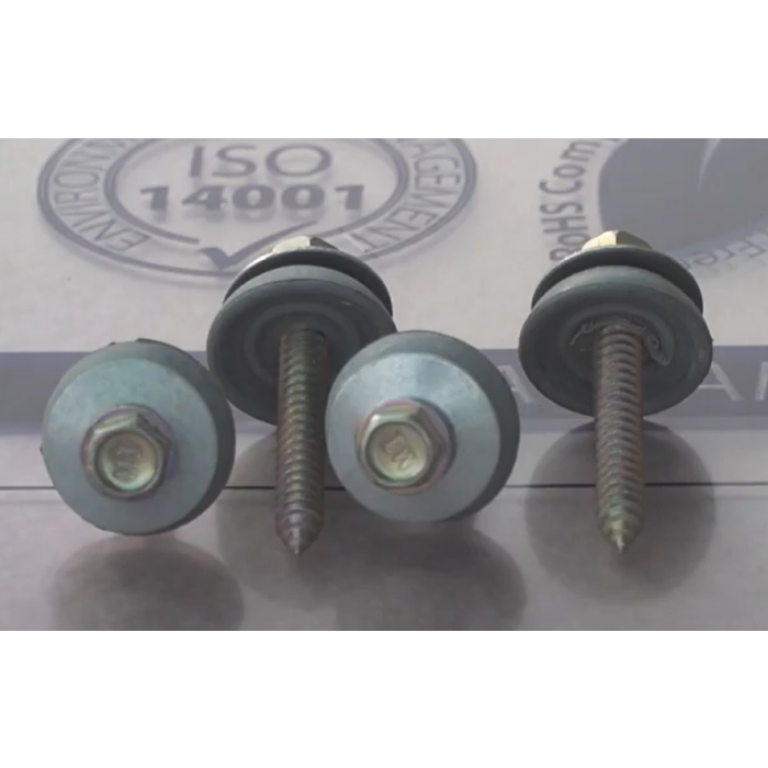 Tornillos autoperforantes con arandela de estanqueidad EPDM – Paquete de 25 tornillos - 4