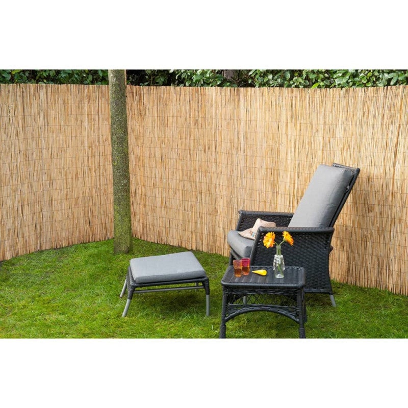 Stuoia da giardino in canne 1,5x5 m giunco di bambù Natura - 2