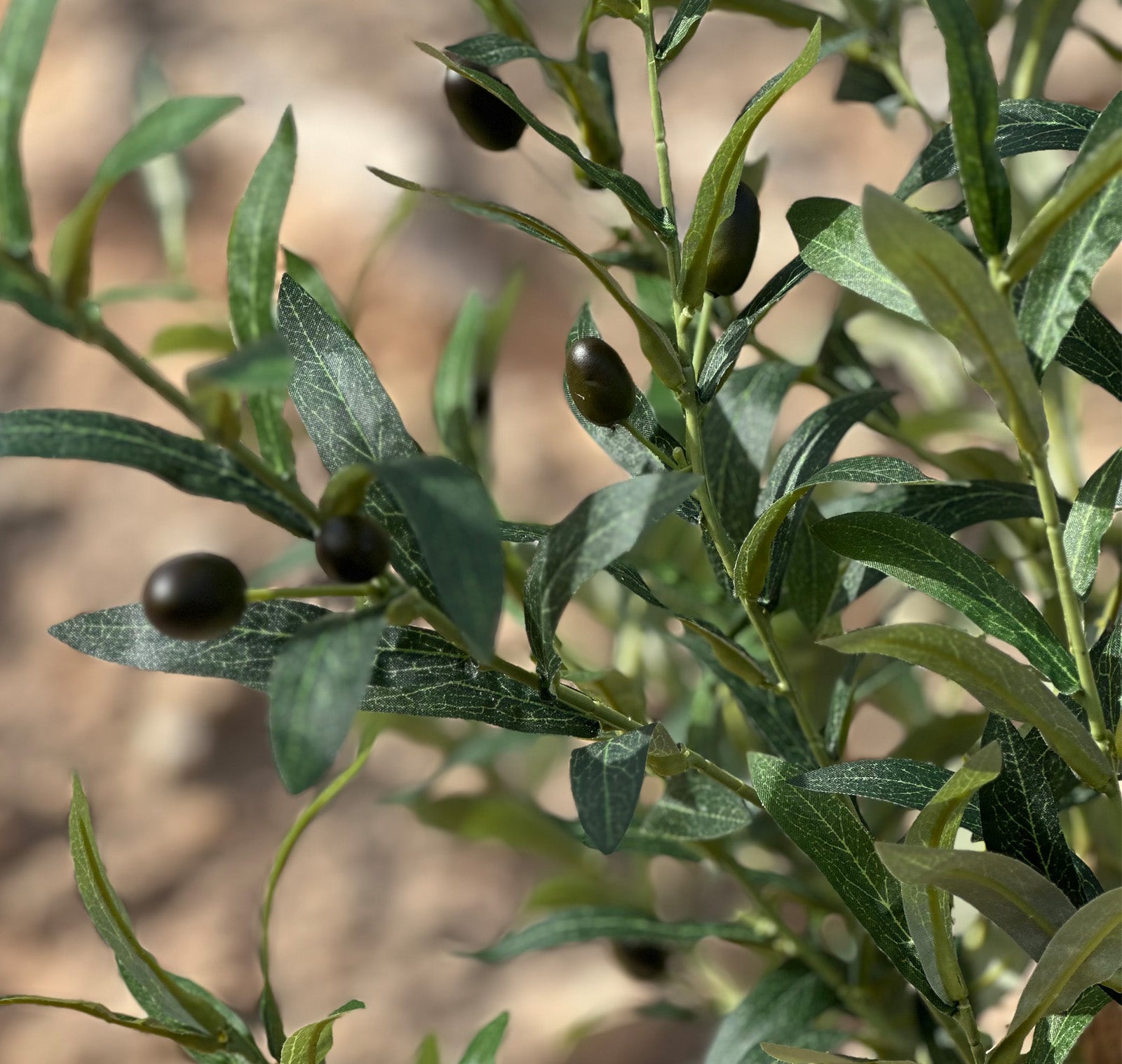 Olivier artificiel 145 cm, Plante décorative avec Feuilles et Olives réalistes pour salon, chambre ou bureau - 3