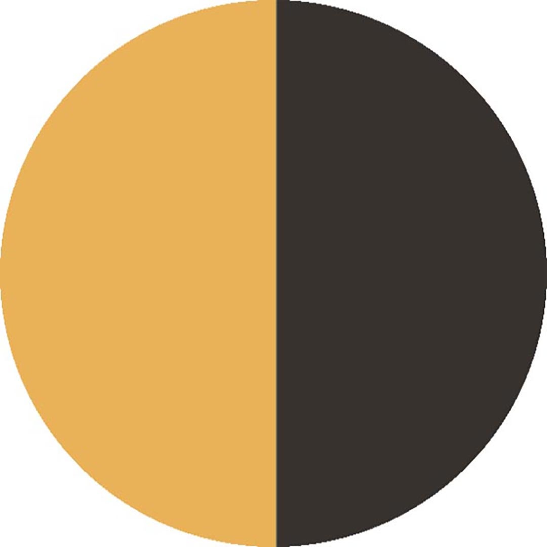 Matelas transat imperméable, pour bain de soleil, en Tissu déperlant 190x60cm bicolore Jaune et Anthracite, Lot de 2. - 6