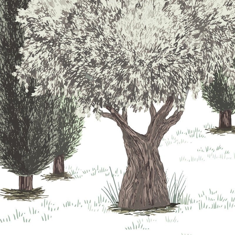 Papier peint panoramique - Tivoli - Vert - intissé : 150g/m² - 7 lés : 336x270cm - 3