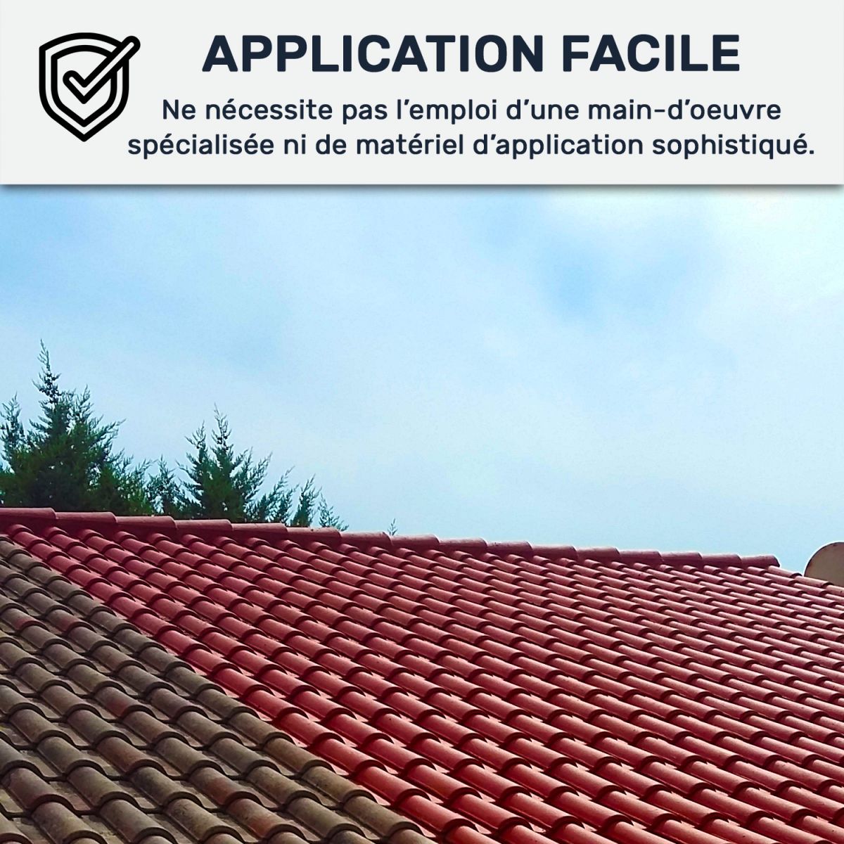 Étanchéité Toiture, Résine d'étanchéité colorée : ARCAFILM Ardoise - 10 L - ARCANE INDUSTRIES - 3