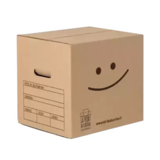 Pack 20 cartons à livres avec poignées + 1 adhésif offert - 2