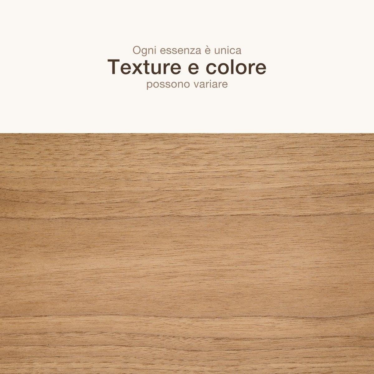 12 FOGLI DI IMPIALLACCIATURA IN LEGNO DI NOCE BIONDO - 4