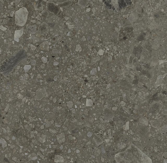 Carrelage Aspect terrazzo Berma noir rectifié 80x80 cm