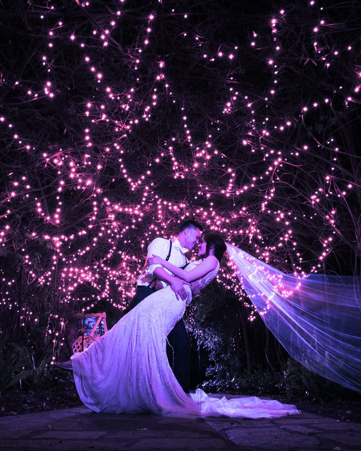 Lot De 2 Guirlandes Lumineuses à 50 LED à Piles Avec Telecommande Pour Fetes De Noel Jardin Et Decoration Interieure 86489597