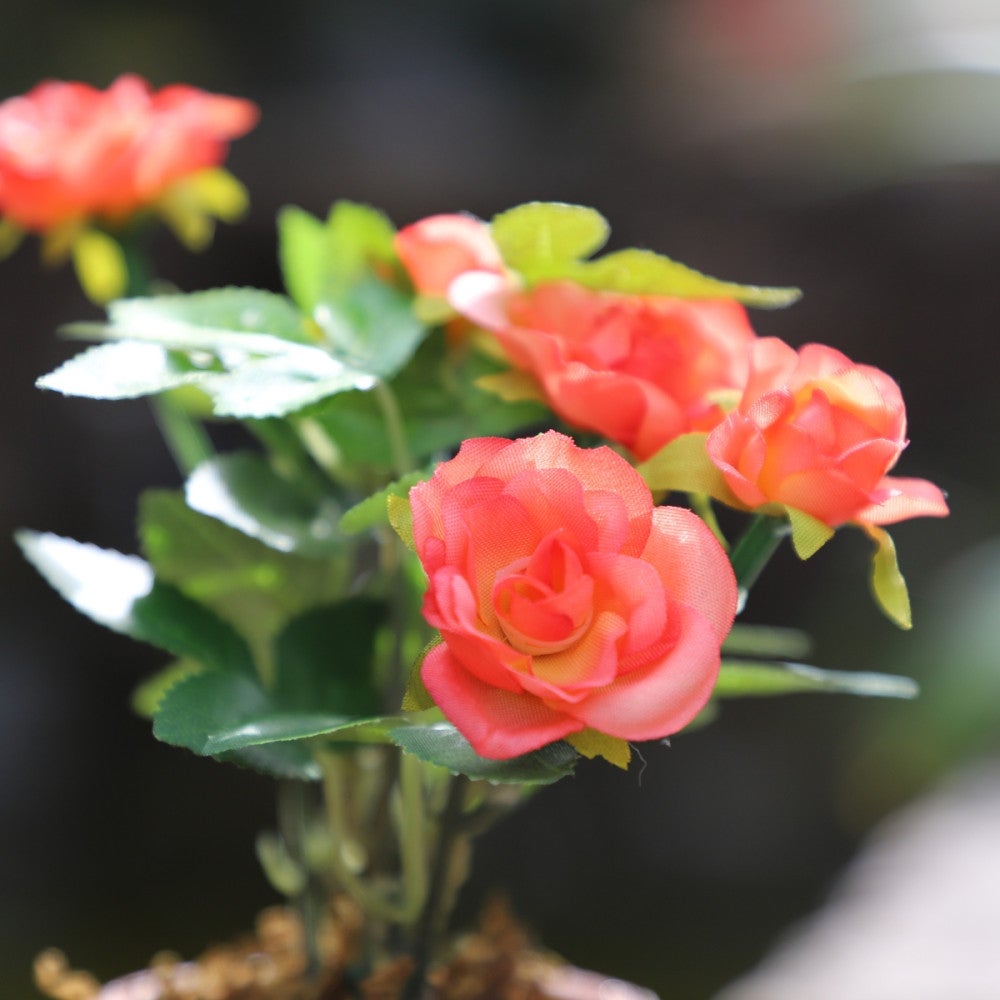 ~Rosier plante fleur artificielle extérieur cimetière tissu corail12cm - 3