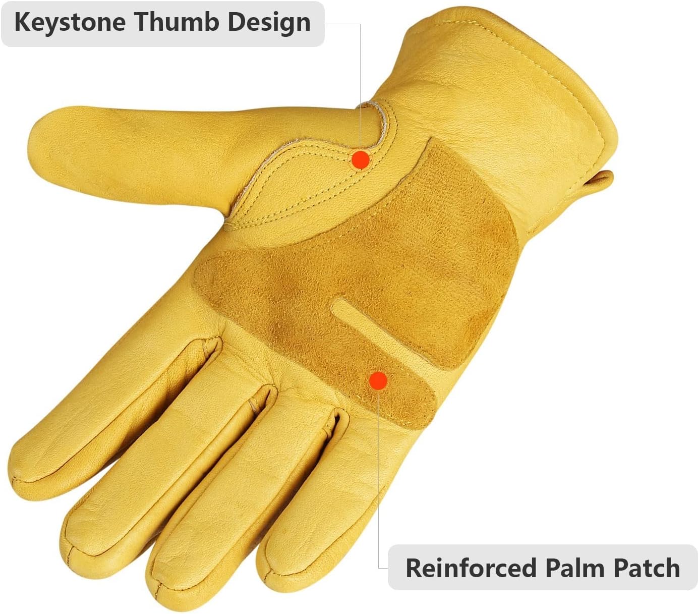 Gants de jardinage épais et résistants à la perforation, en cuir de vachette, adaptés à la taille, au bêchage,à la plantation et autres trav Taille M - 5