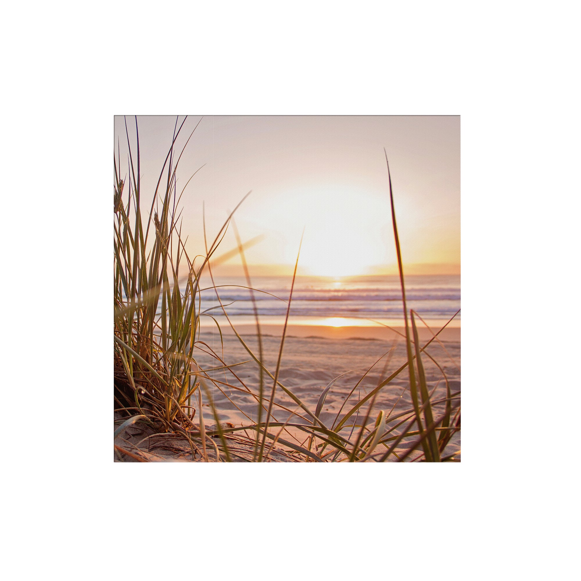 Poster de jardin Lever de soleil dans les dunes 50 x 50cm Multicolore - 2