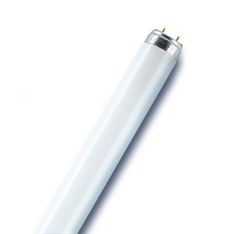 Osram LUMILUX T8 ampoule fluorescente 58 W G13 Blanc froid - 4