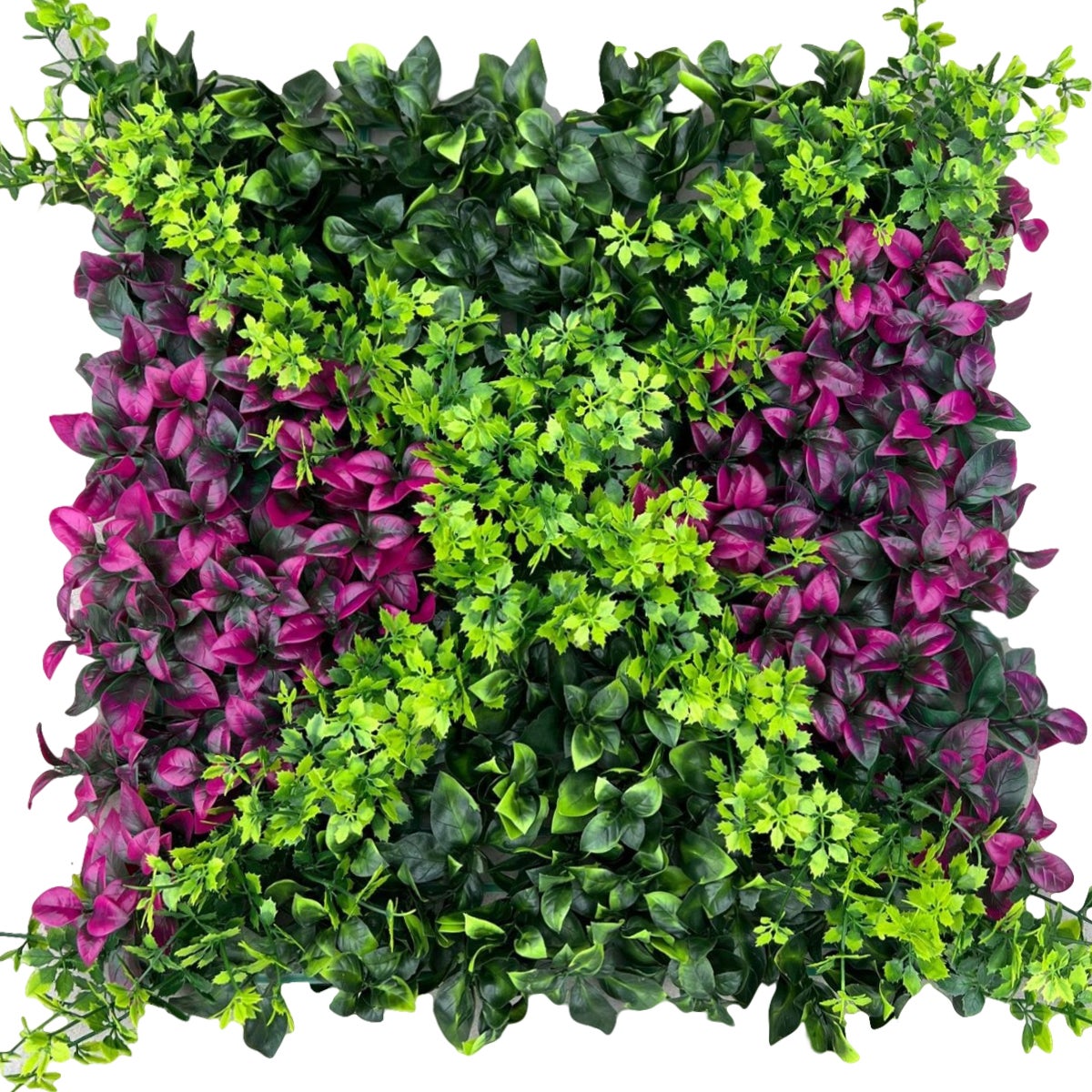 Sztuczny żywopłot 50 cm x 50 cm, ochrona i prywatność w ogrodzie, ściana ze sztucznej trawy, ochrona przed promieniowaniem UV (1 szt.)