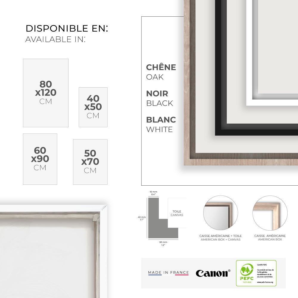 Toile Formes abstraites / 50x70cm / Fabriqué en France / DADA ART - 4