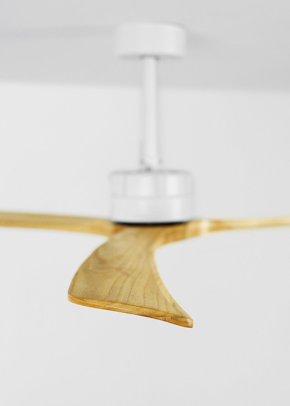 WIND LARGE DC - Ventilateur de Plafond 40W Silencieux XL Ø152 cm - Sans Lumière et Sans WIFI - 7
