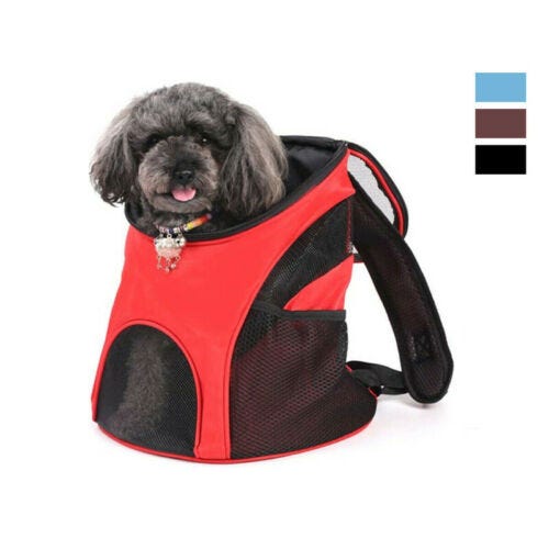 Dei Tesori Zaino Camon Per Cani Borsa Trixie Trasportino Excellent