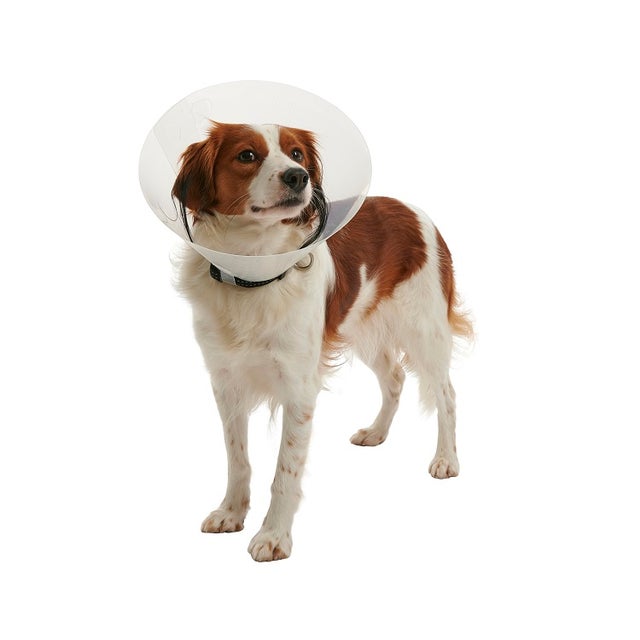 KRUUSE Coleira elizabetana transparente BUSTER CLIC, 7,5 cm Cães de 1 a 3 kg, 1 unidade.