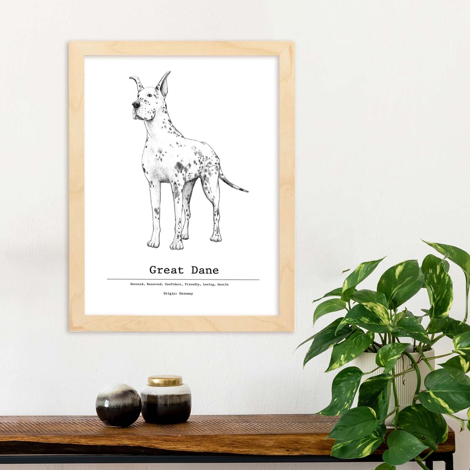 Tête De Chien Scottish Terrier Dessin Vectoriel à La Main Illustration Dessinee Fond Transparent Animal Race Realiste 736790 3965