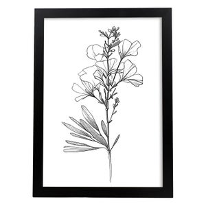 Nacnic Ranunculus Affiche dans style Aquarelle Fleur Plante Botanique Minimaliste Fond Blanc Impression d'art mural pour maison de salon Design d'intérieur Modèle 1 A4 avec cadre blanc