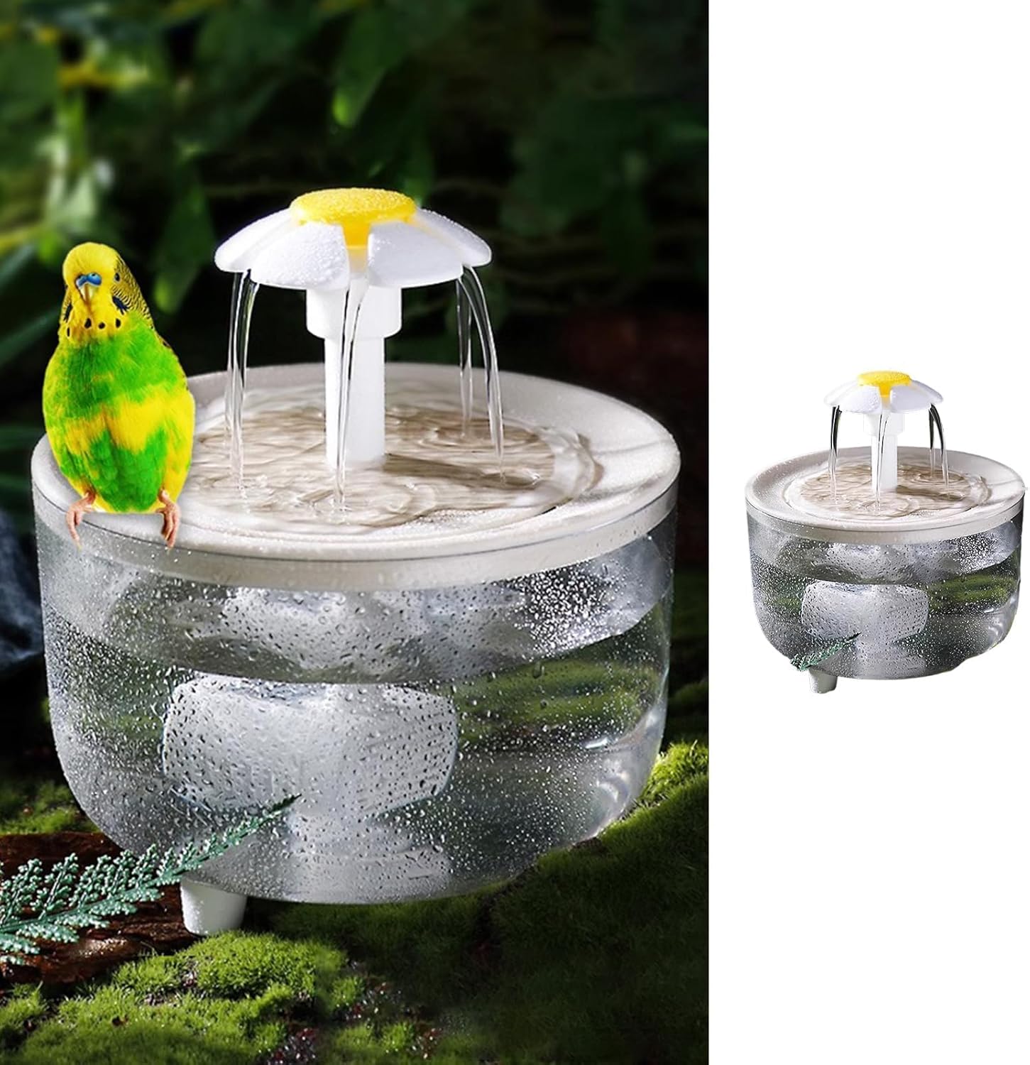 Curated visual reference: Visual Reference: Baignoire Pour Oiseaux Petite Fontaine Douche Pour Oiseaux Avec