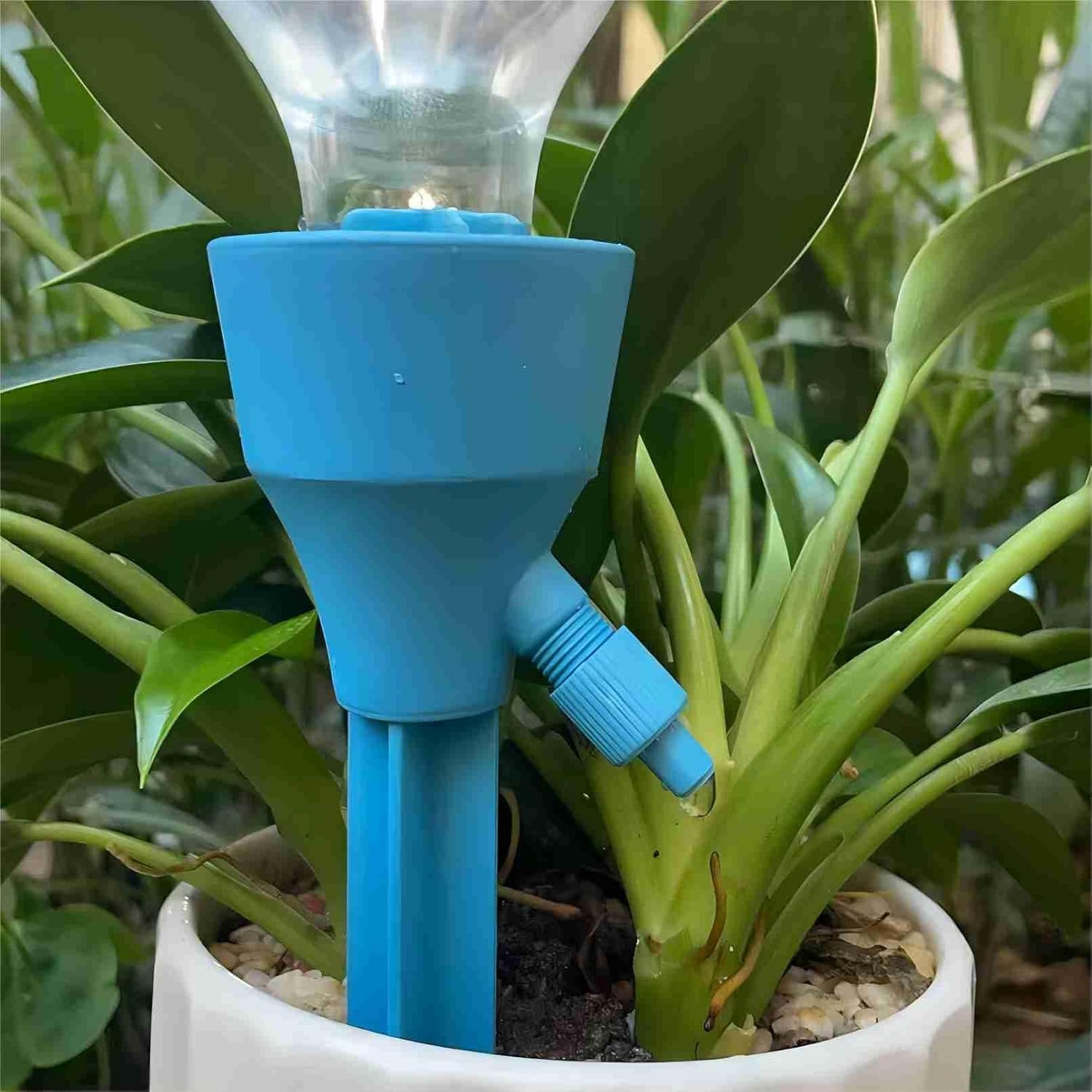 6 PCS Goutte a Goutte Bouteille, Distributeur Eau Plante, Arrosage Plante Interieur, Arrosages Automatiques Réglables pour Légumes, Fleurs et Plantes - 4