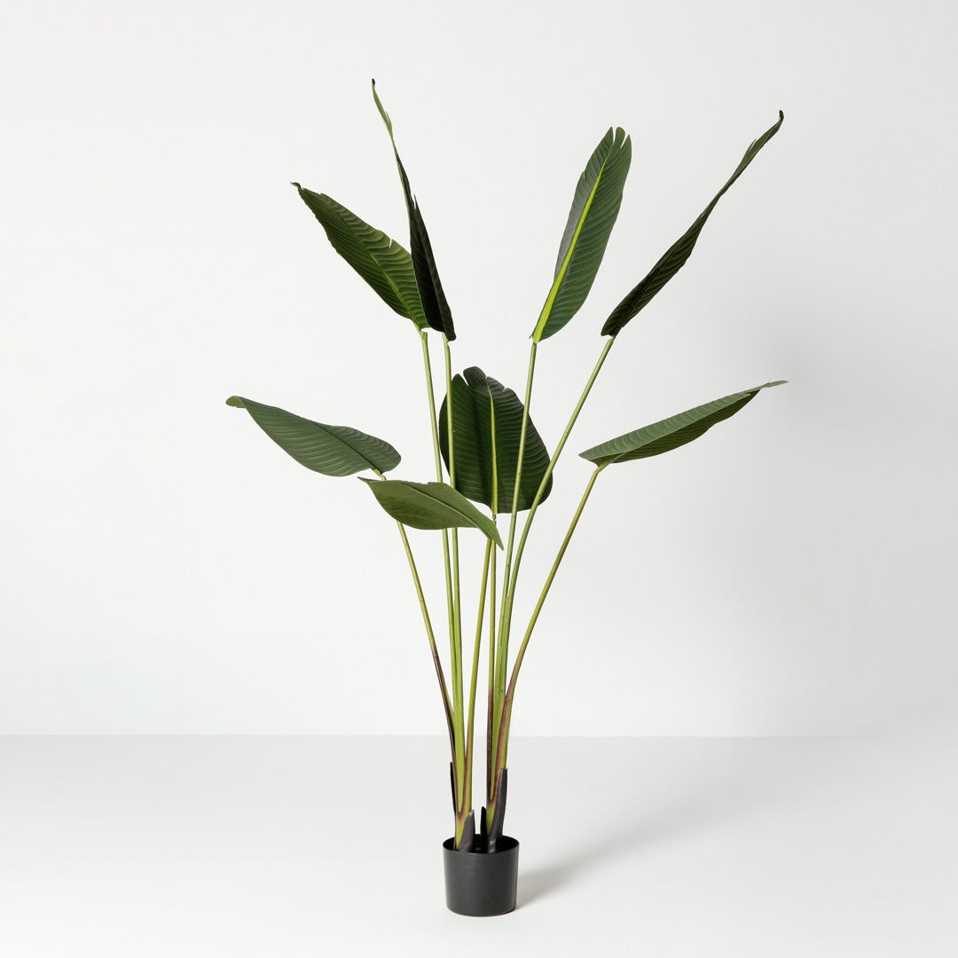 Planta Artificial Tropical, Ave del Paraíso Strelitzia 160cm. Gran Realismo con Maceta para Decoración Interior Salón Hogar y Oficina - 2