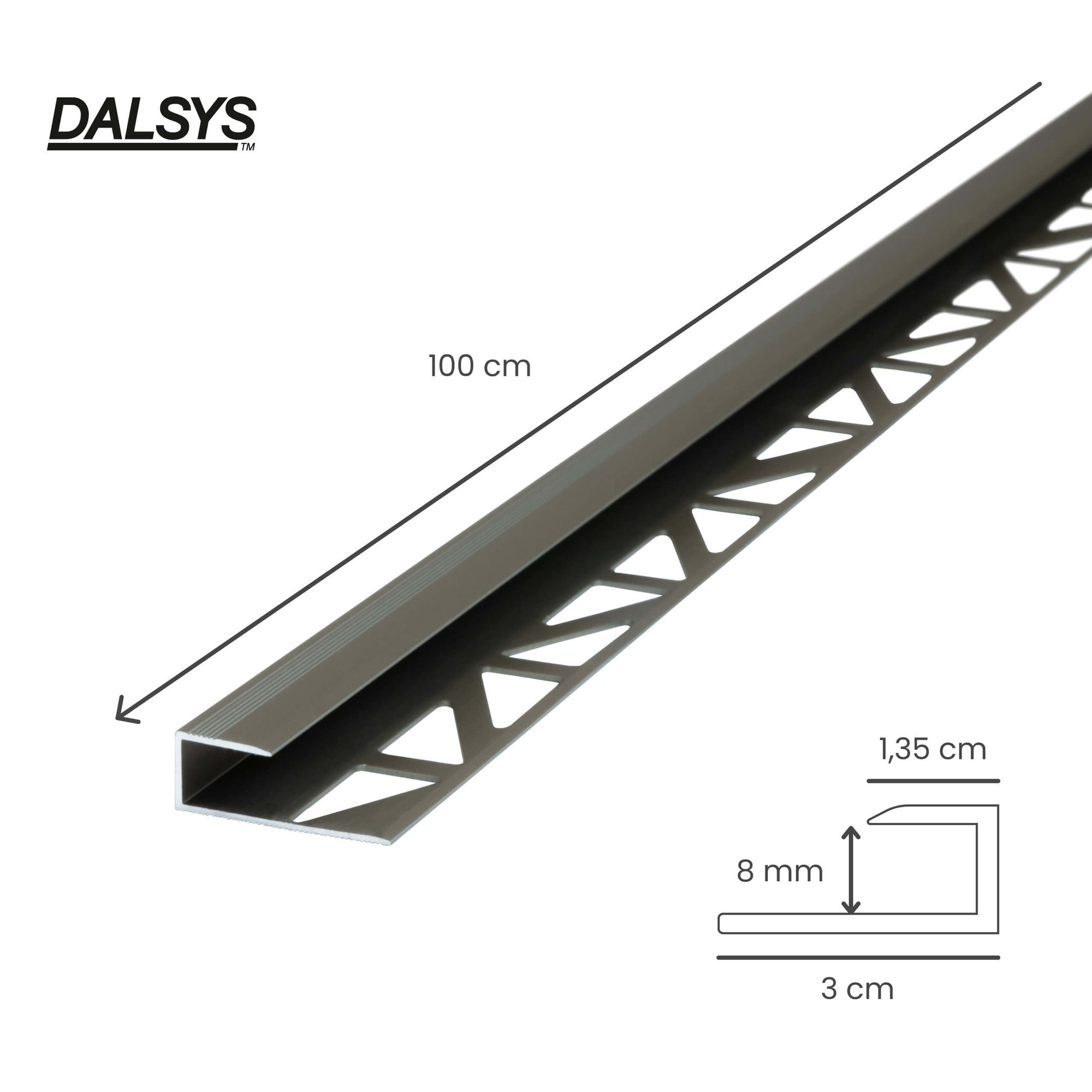Profil de transition 100 cm pour revêtement ép. 8 mm, à encastrer pour carrelage, aluminium anodisé, champagne - Dalsys - 2