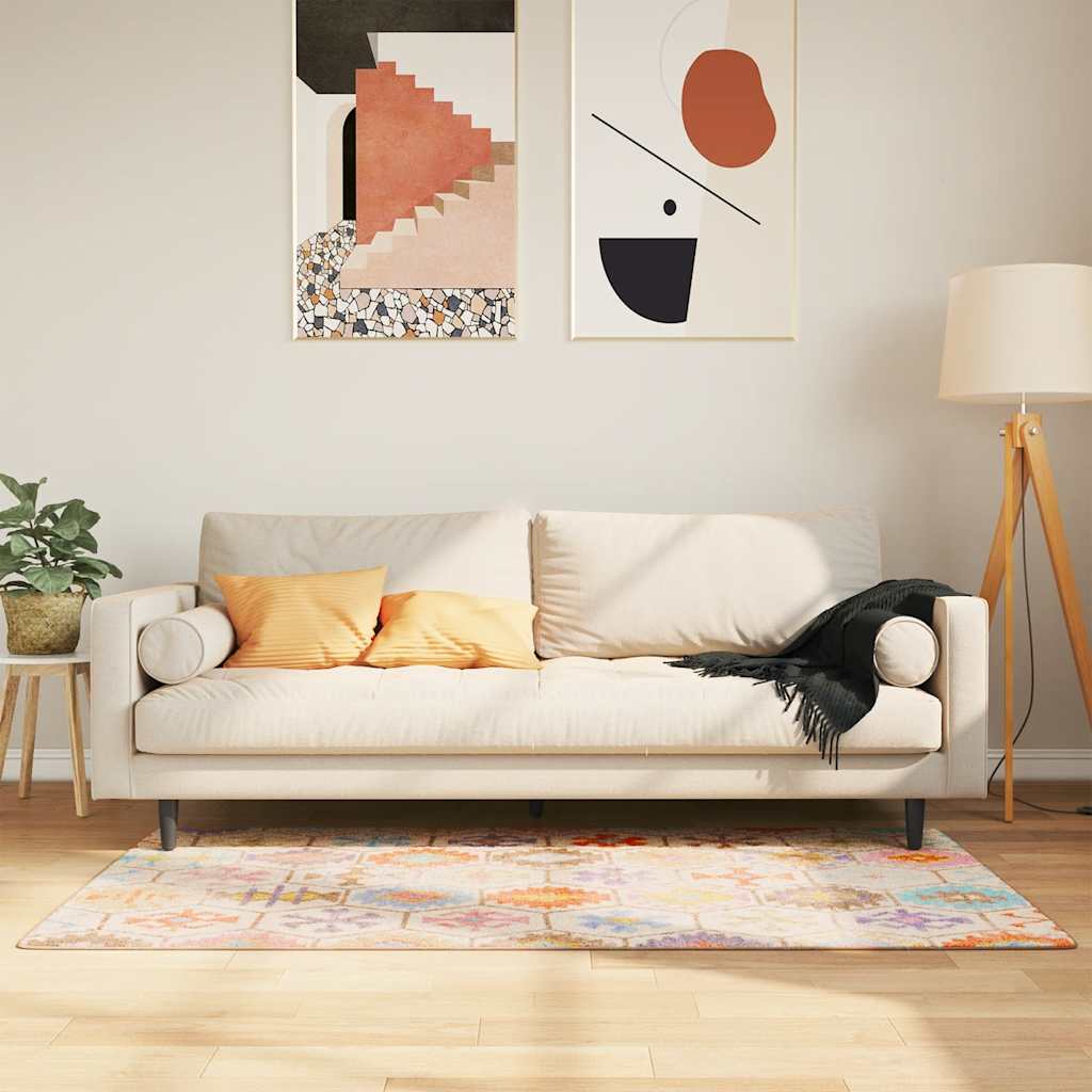 Dywan z możliwością prania, kolorowy, 80x150 cm vidaXL