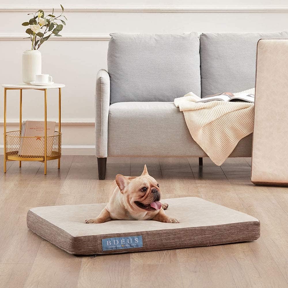Coussin orthopédique pour animaux, mousse à mémoire de forme, lavable, 66x89x10 cm, pour chiens et chats, soulage les articulations - 5