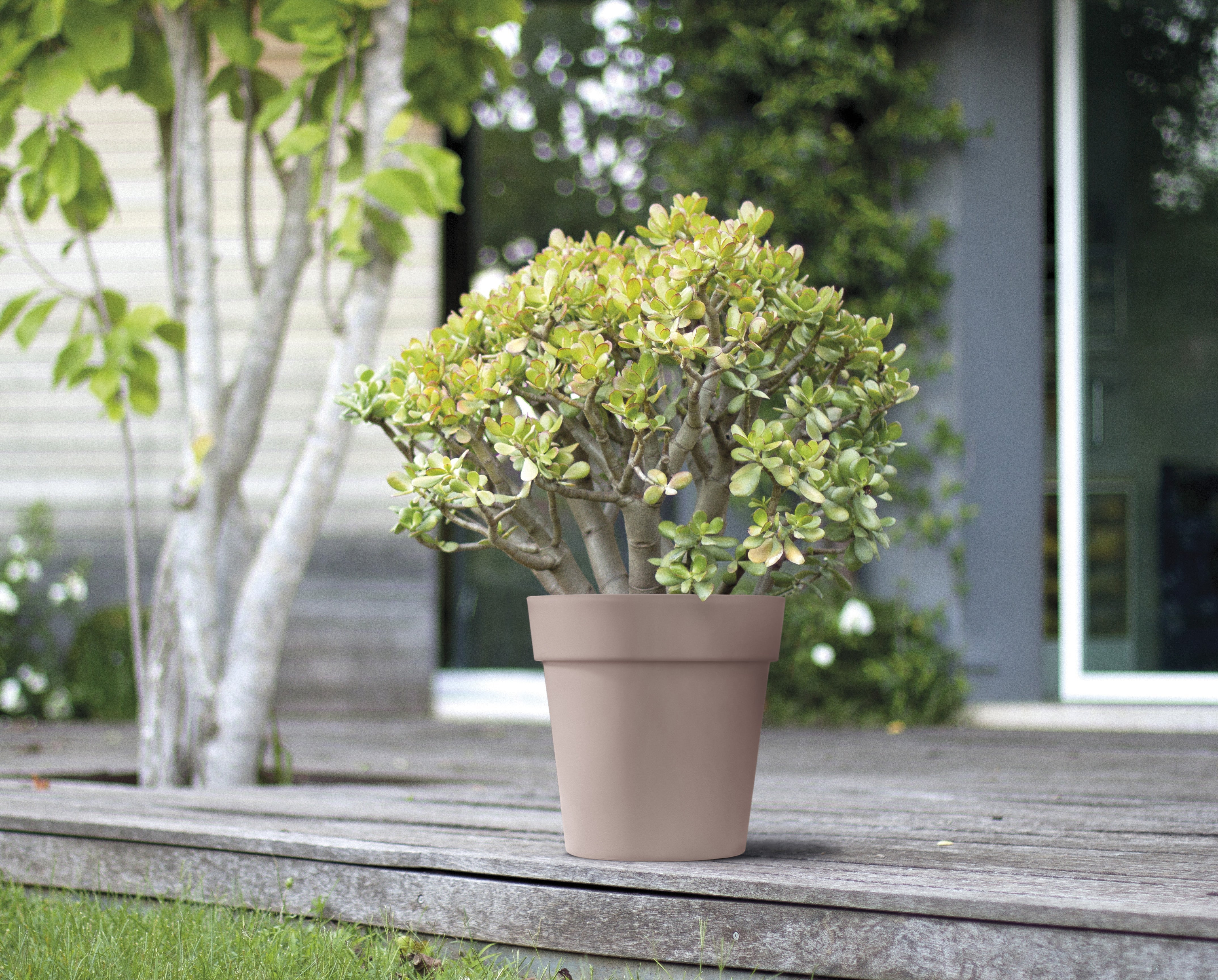 KOTARBAU® Fioriera in ceramica per orchidee Verde