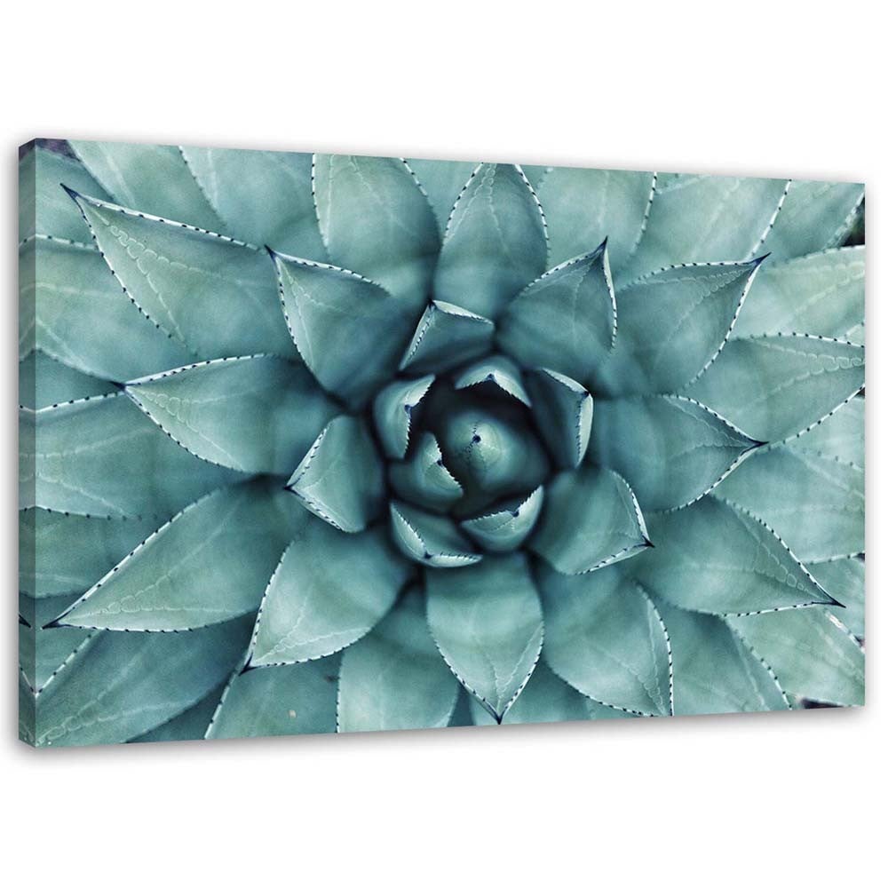Obraz na płótnie, Niebieski aloes 100x70