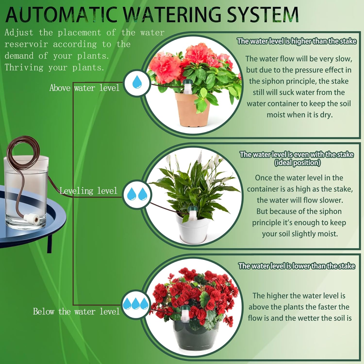 12 cônes d'auto-arrosage automatique pour plantes et fleurs d'intérieur jardin - 4