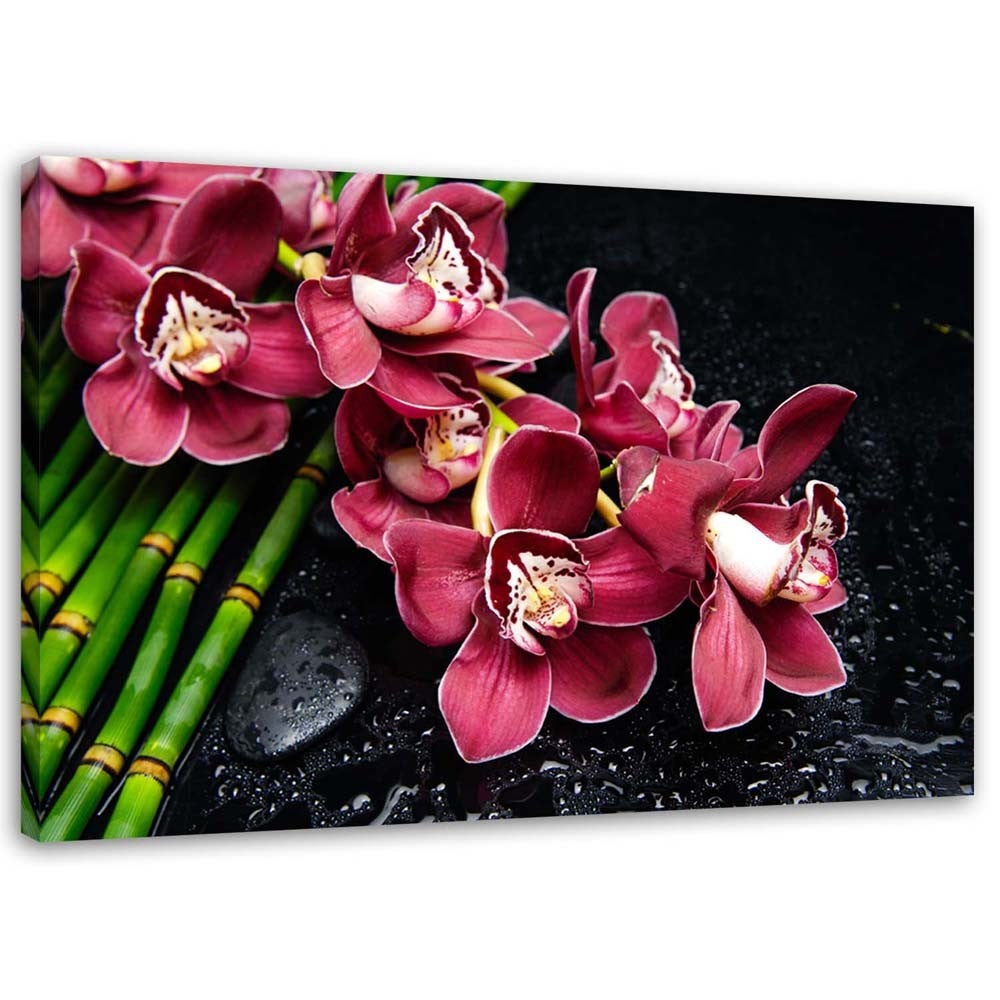 Obraz na płótnie, Orchidea na bambusie 120x80