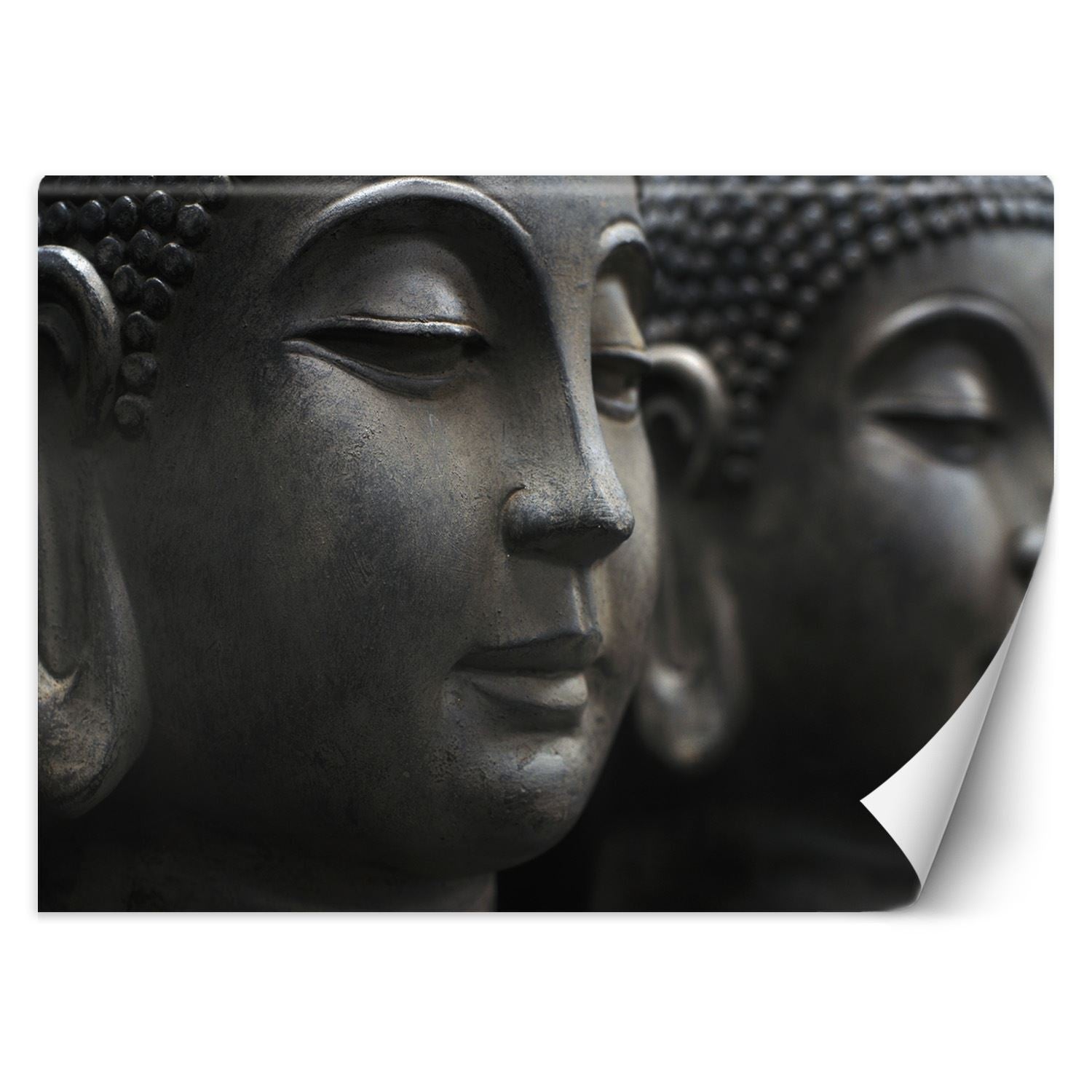 Fototapeta, Medytujący Budda 350x245