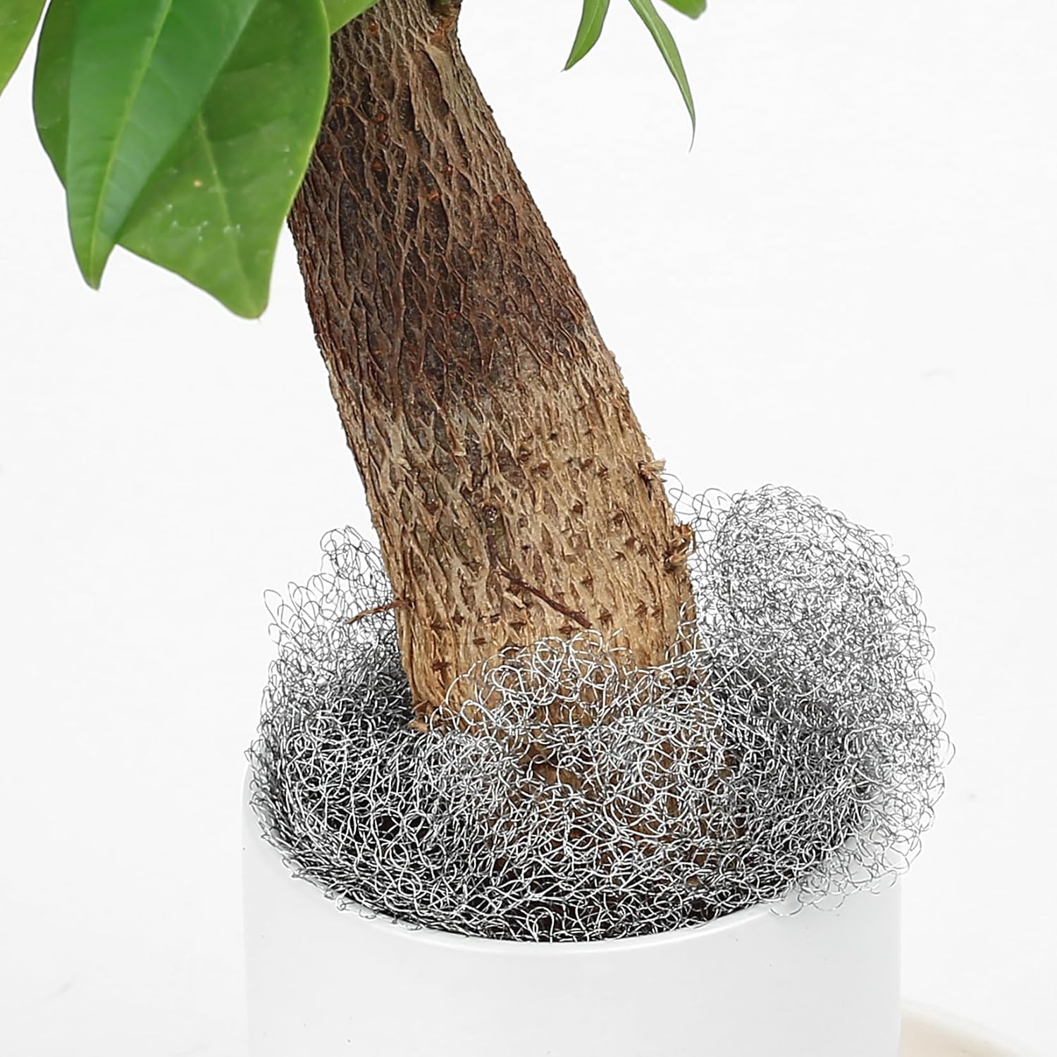Rete in acciaio inossidabile intrecciata da 12,7 cm x 9 m per lumache, roditori, uccelli, parassiti, topi e giardino - 5