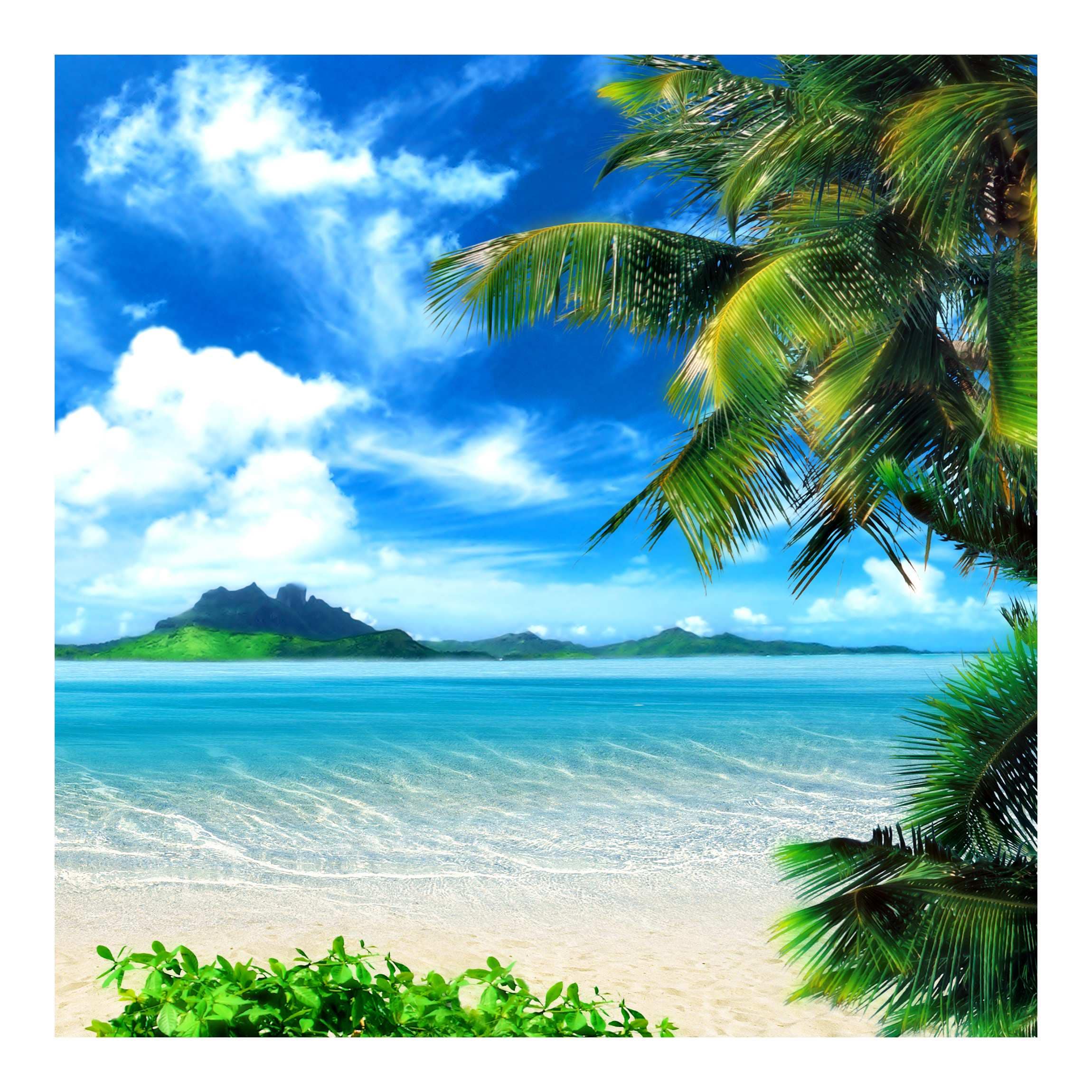 Papel pintado fotomural tropical naturaleza playa 121 - salón dormitorio cocina pasillo - tnt 336 x 336 cm smart