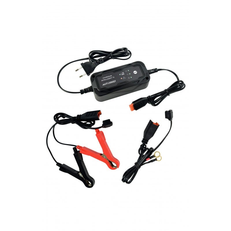 Chargeur 6 V pour véhicules électriques pour enfants, bloc d'alimentation universel pour voitures jouets électriques, motos et ATV, avec indicateur de Chargeur 6 V pour véhicules électriques pour enfants, bloc d'alimentation universel pour voitures jouets électriques, motos et ATV, avec indicateur de