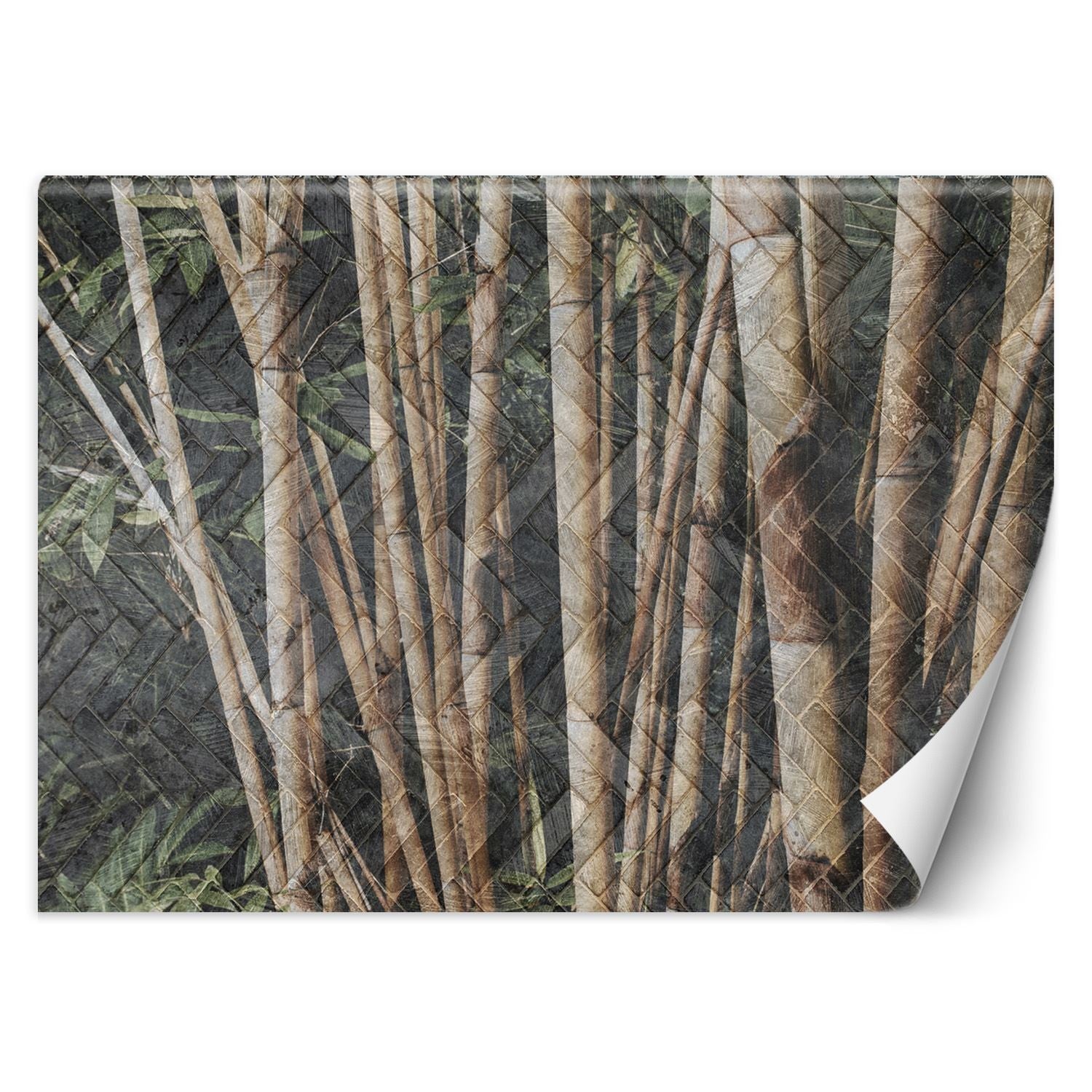 Fototapeta, Bambusowy las 250x175