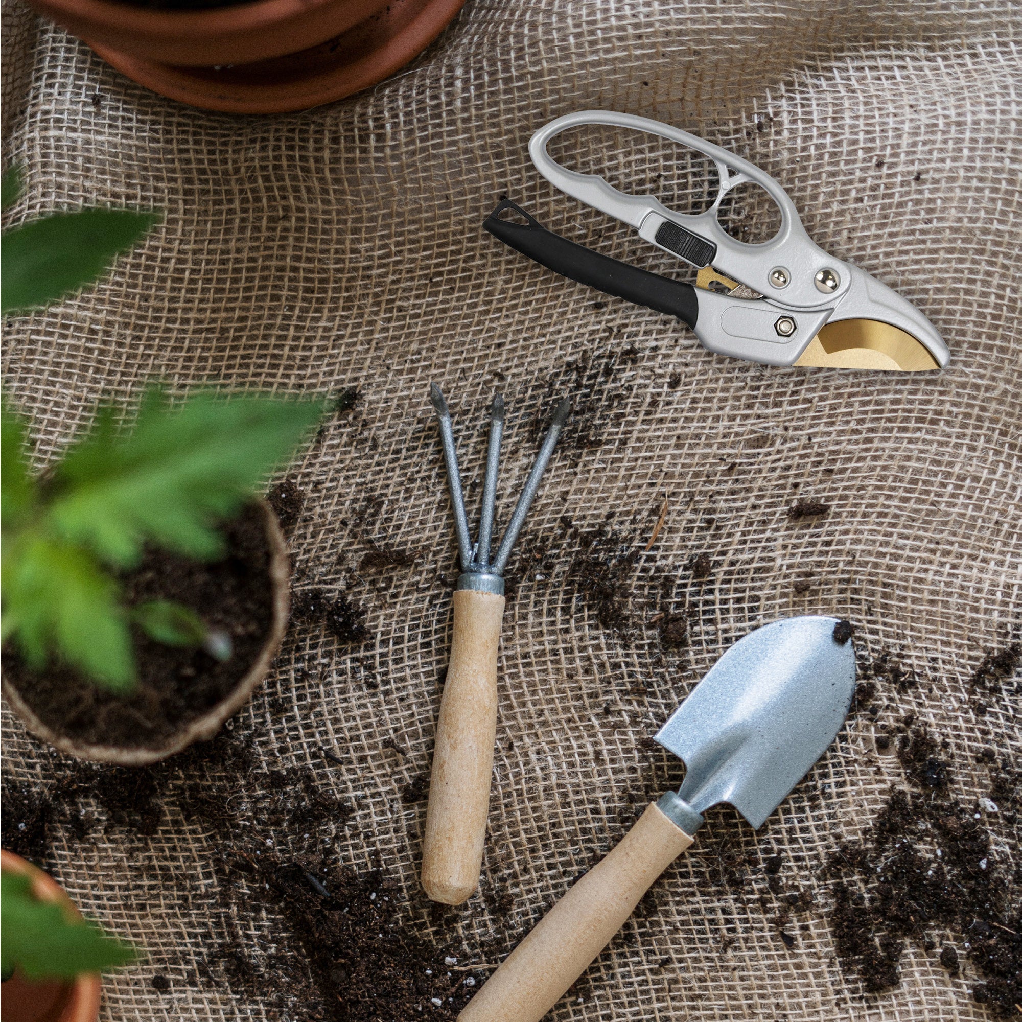 FISHTEC Secateur de Jardin Titanium a cremaillere - Poignee Ergonomique Antiderapant - Coupe Nette (Branches jusqu'a 20 mm) - 20 CM - Gris & Noir - 7