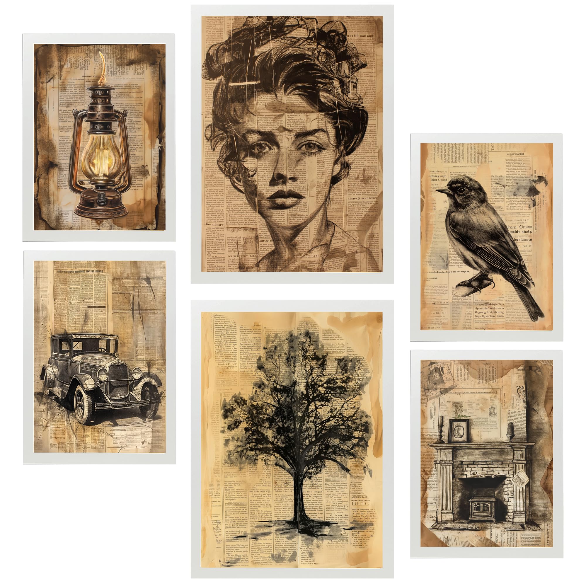 Set de 6 vintage life secrets. woman, bird car, home cuadros con ilustración de diseño para decorar. tienda. a3 y a4. marco blanco