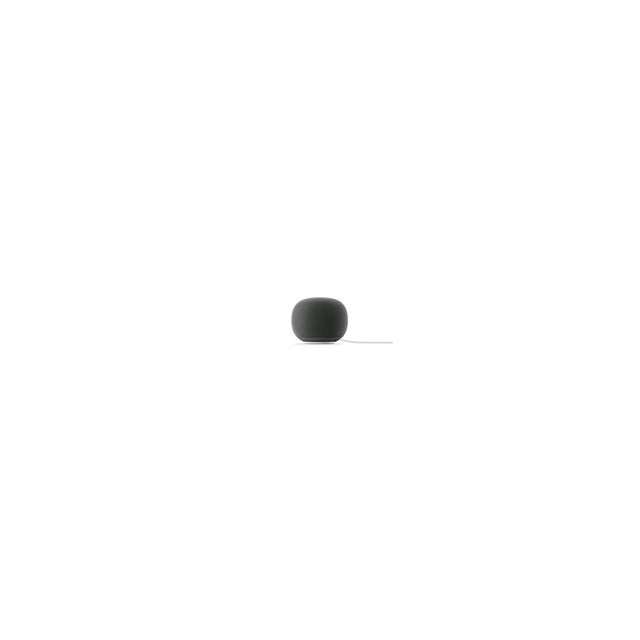 Google Home Speaker Hazel enceinte connectée Matter Thread hub son 360 couleur sauge