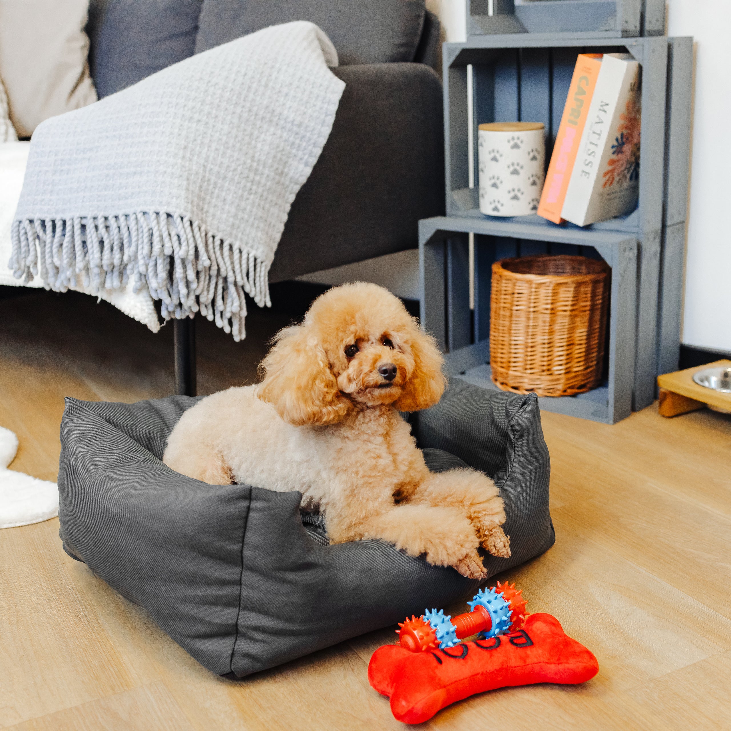 Mascota Como Hacer Una Cama Para Perro Con Una Almohada Cama Para
