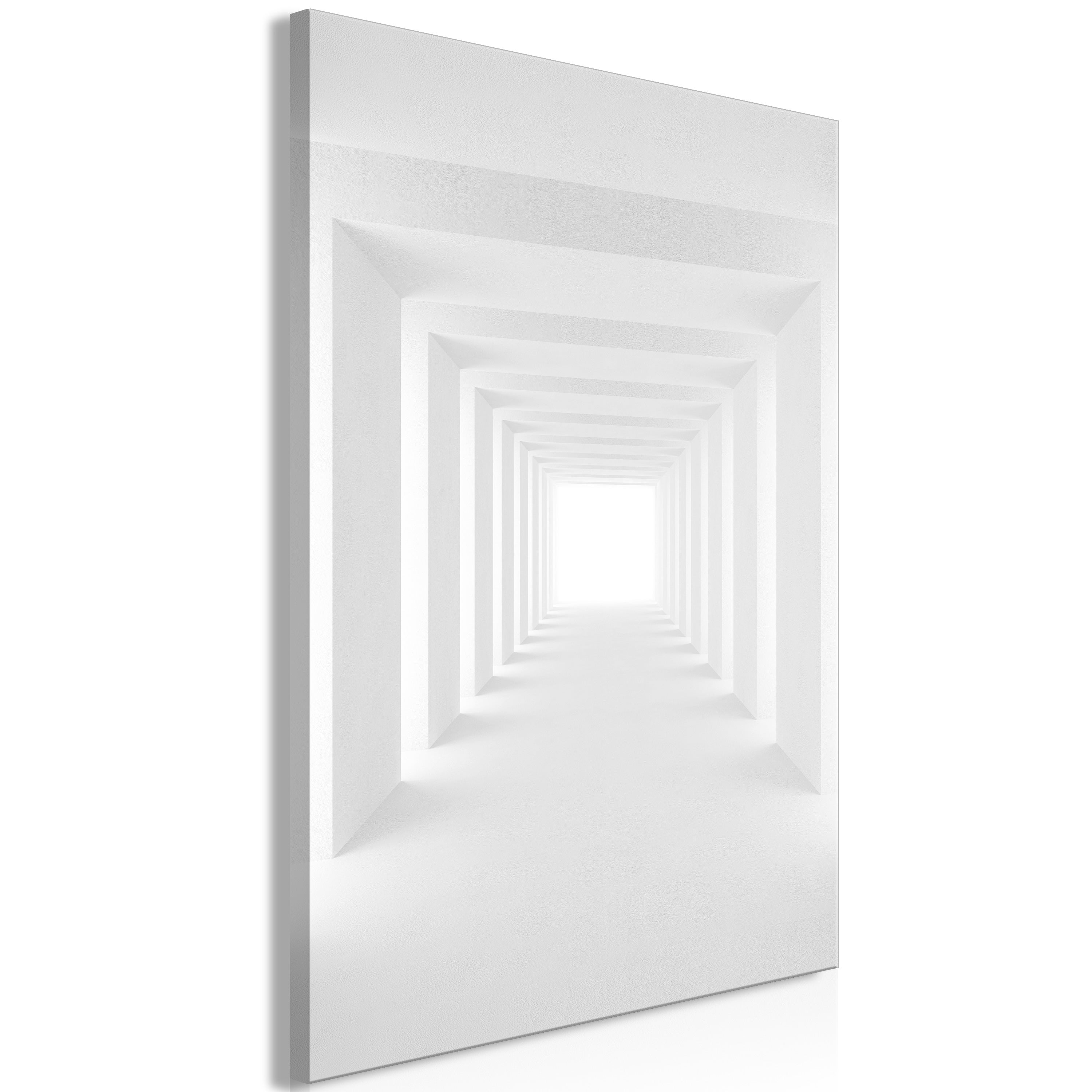 Tableau - Shadow Tunnel (1 Part) Vertical [20x30] | Leroy Merlin