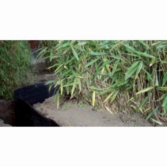 Barrières Anti Racine et Anti Rhizomes 2mm - 0,70m x 25m - 3