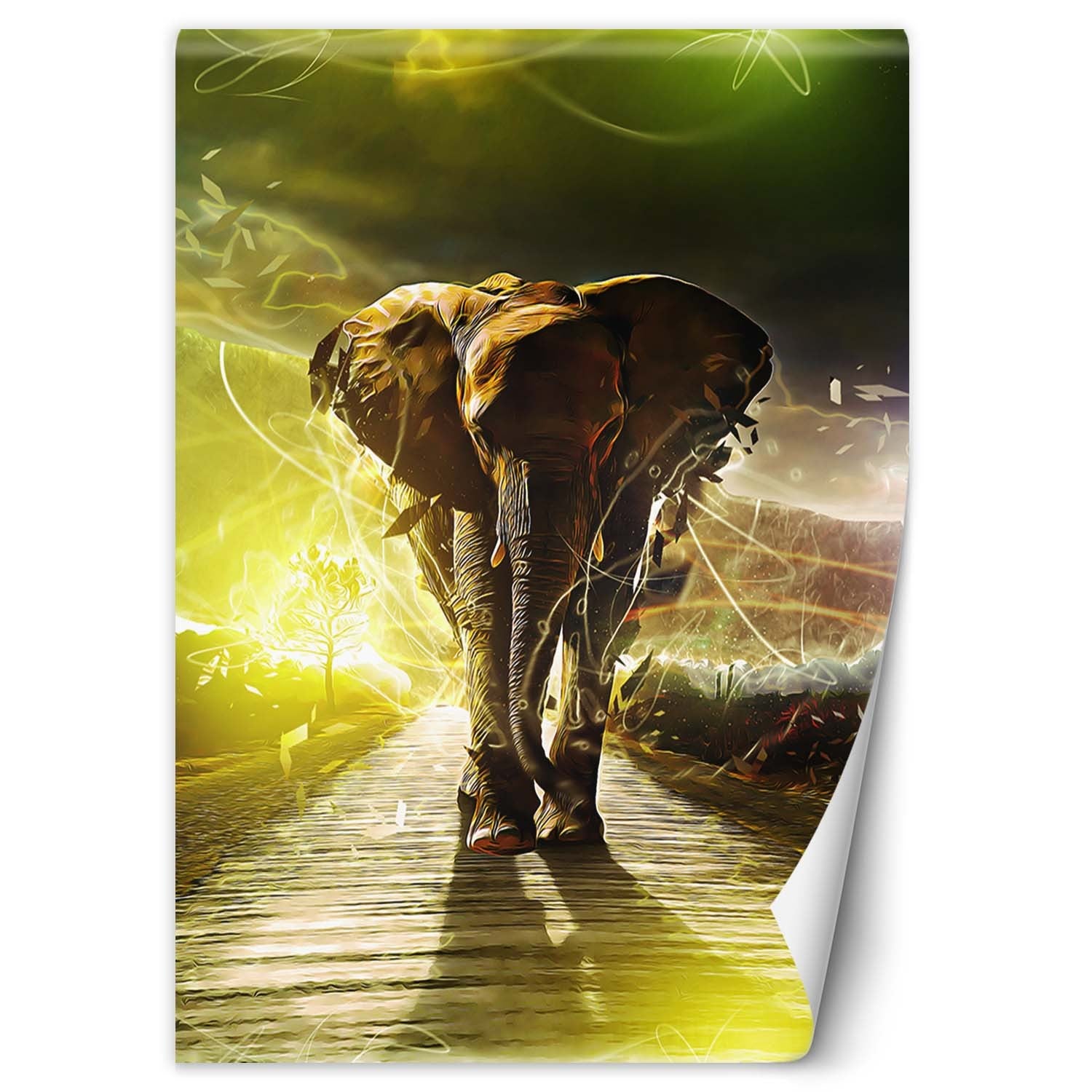 Fototapeta, Słoń na drodze abstrakcja 100x140