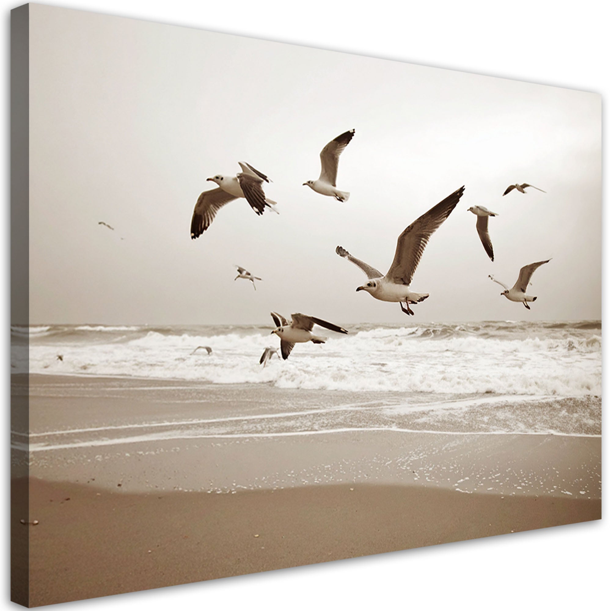 Obraz do salonu kuchni biura, Mewy ptaki morze plaża natura 90x60