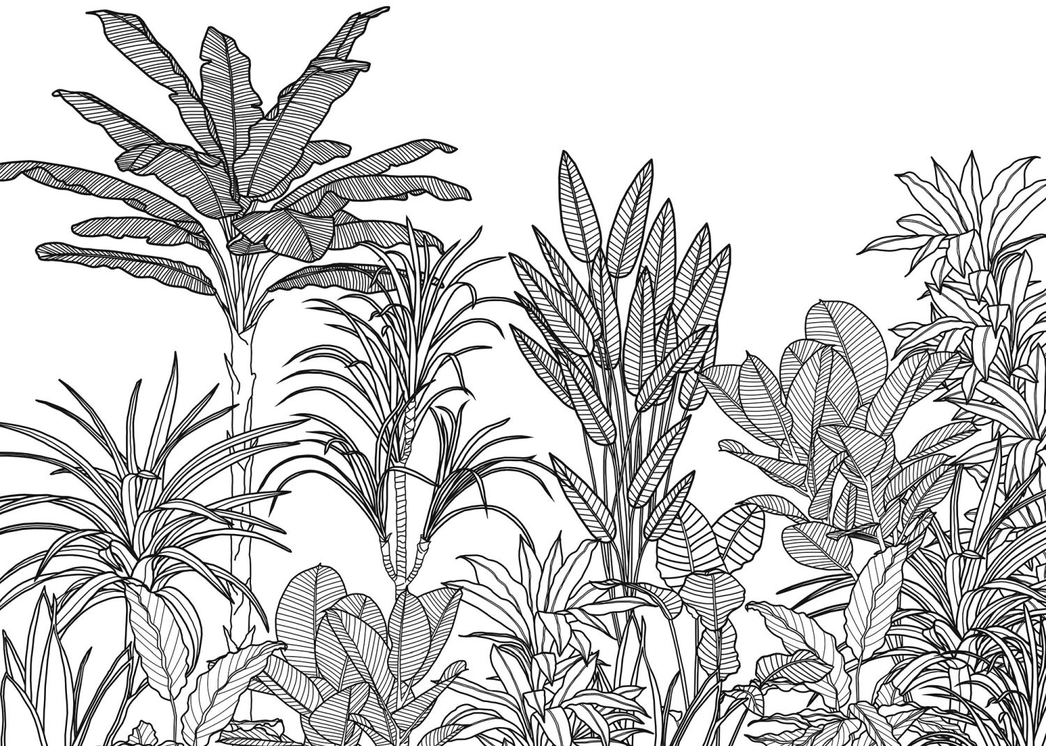 Fotomural palmeras blanco y negro - 350 x 250 cm - komar