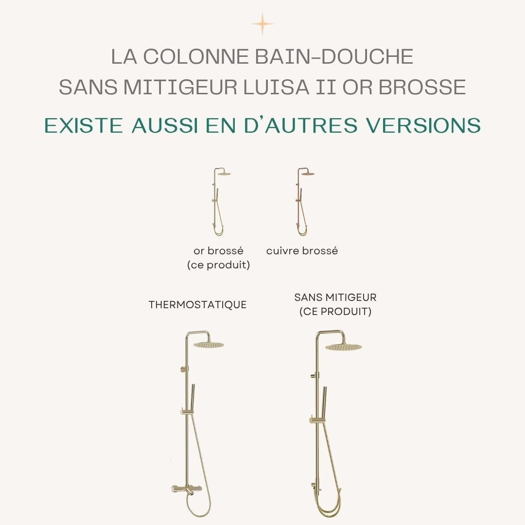 Luisa II colonne de douche sans mitigeur or brossé - 7
