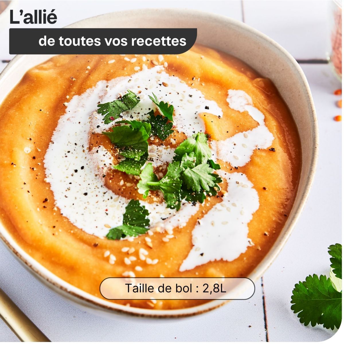 Blender MAGIMIX Power 5 XL Chrome Mat 11643 - 4