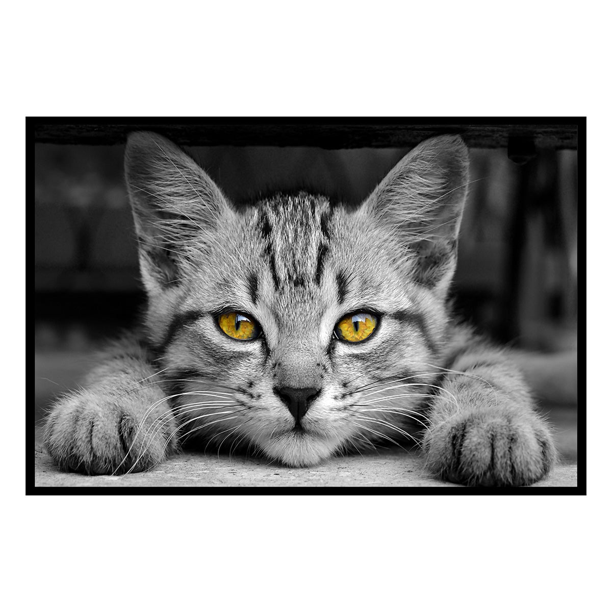 Affiche encadrée – Chat au regard doré, intensité et mystère - 60x40cm ...